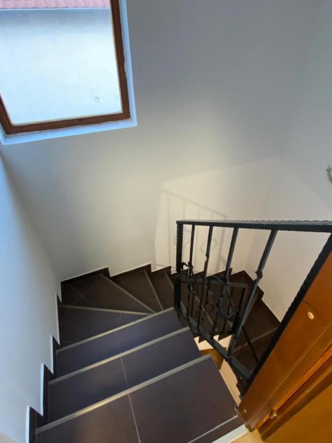 House Reko Villa Belgrad Exteriör bild